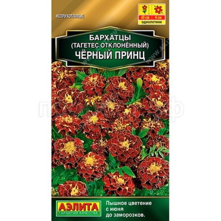 Аэлита Бархатцы Черный принц отклоненные 5шт