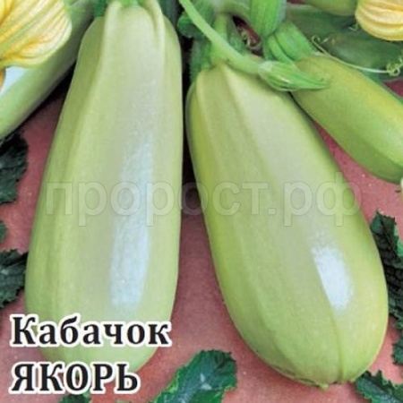 Кабачок Якорь 25 г