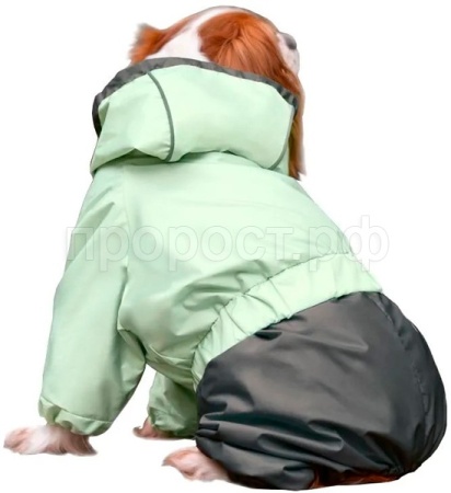 Комбинезон-дождевик Киви S 22см/12212131/Триол