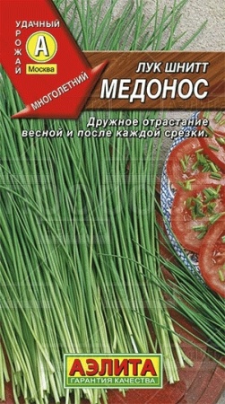 Лук шнитт Медонос 