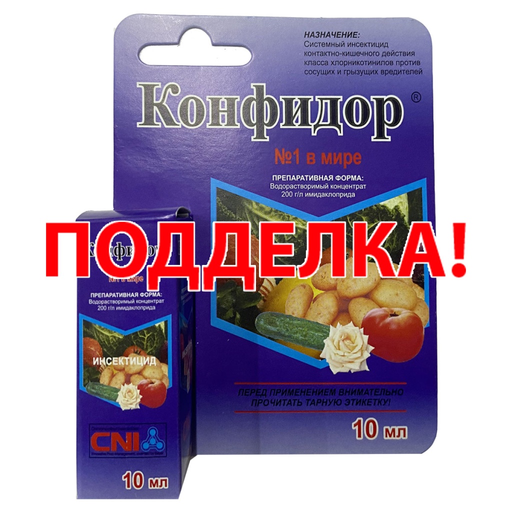 Конфидор Конфидор